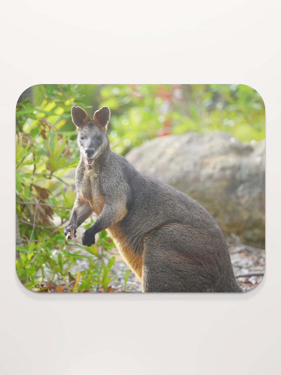 Kangaroo on a Mouse Pad product image (2)