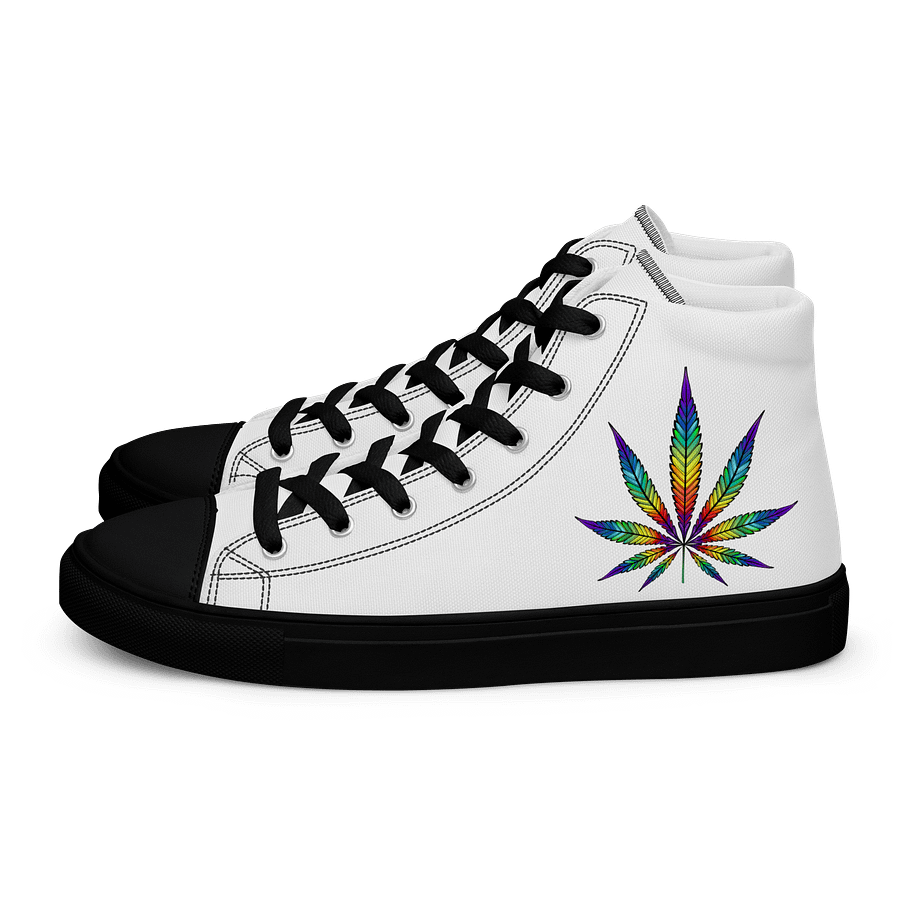 rainbow pot mens shoes product image (1)