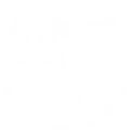 Austin Bradley