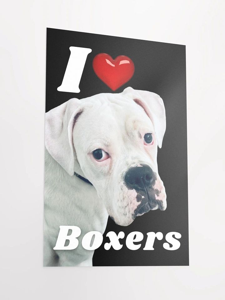 I Heart Boxers Poster product image (2)