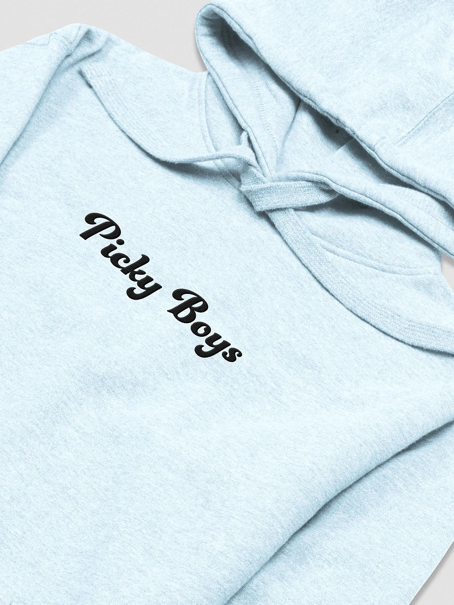 Picky Boys Embroidered Hoodie (5 Colors) product image (7)