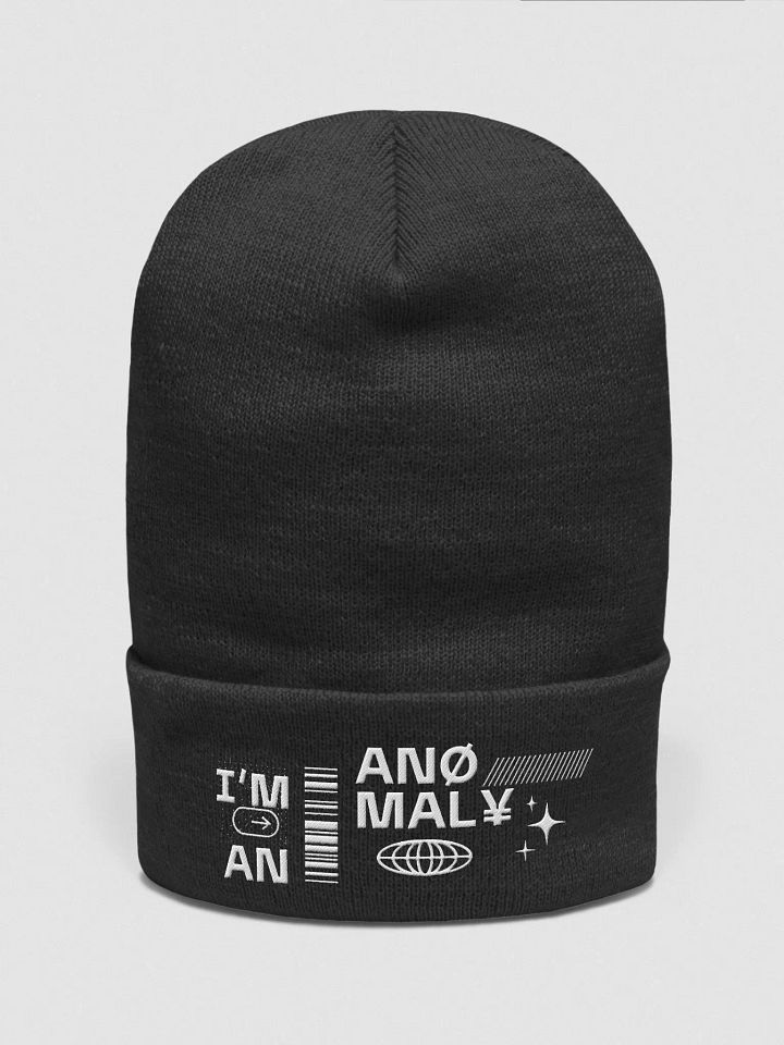 Anomaly y2k Beanie product image (1)