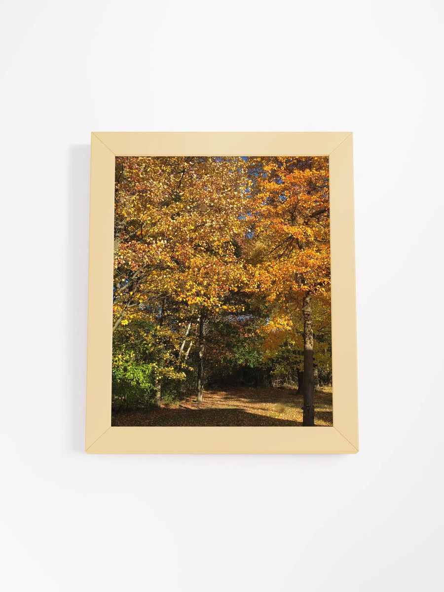 Fall Leaves High Quality Matte Poster product image (1)