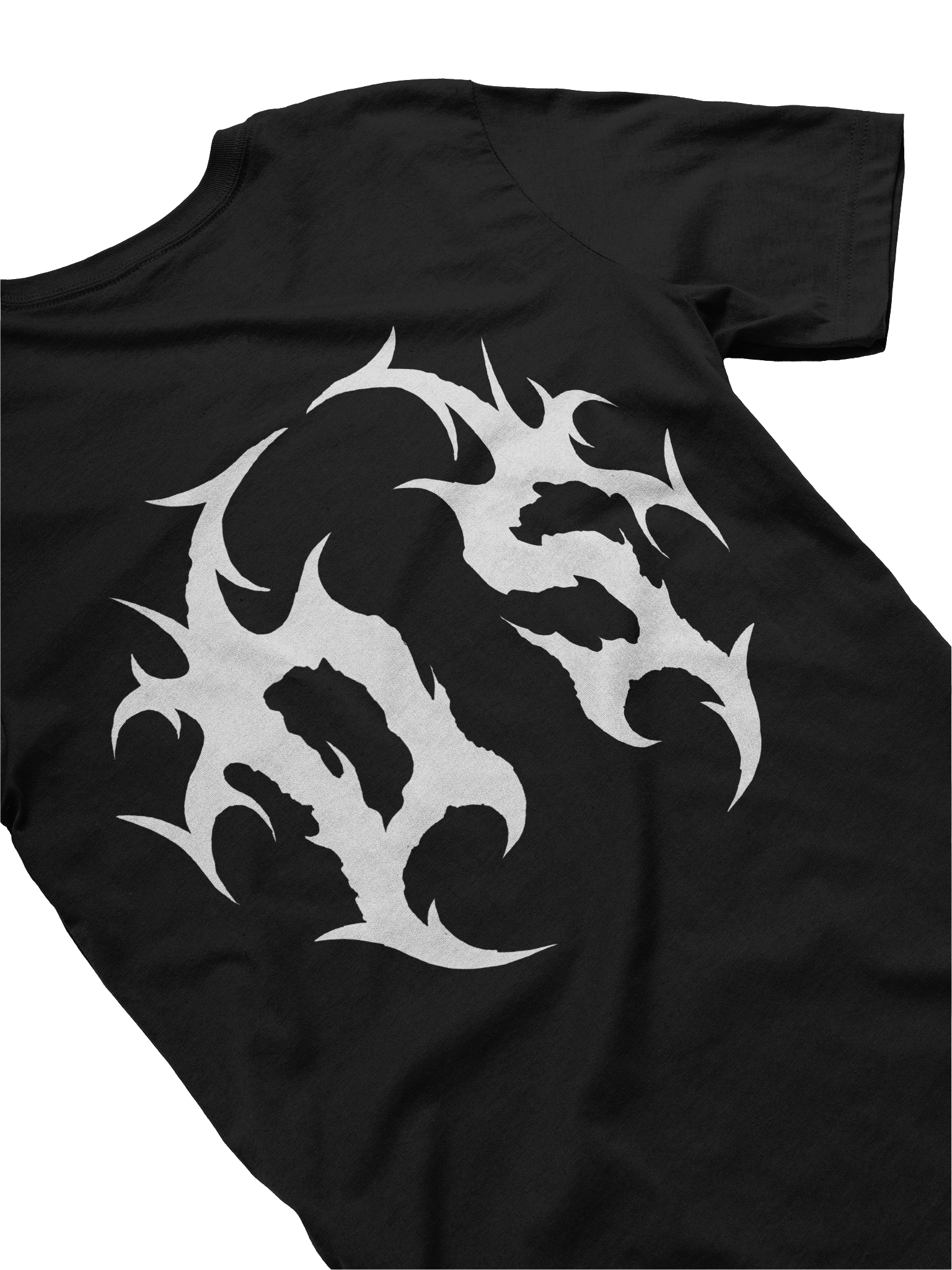 Go Birds T-Shirt product image (18)