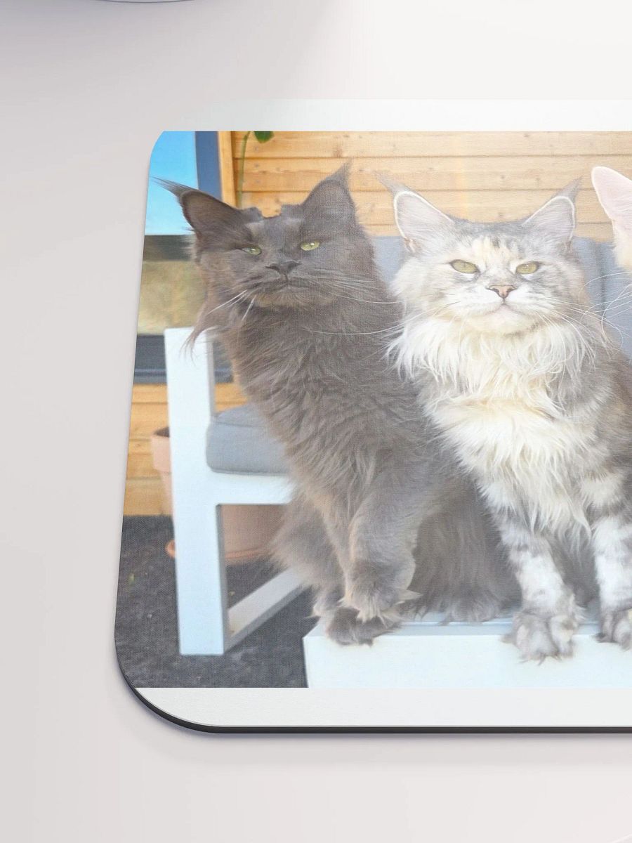 4 Generations - Mouse Pad product image (5)