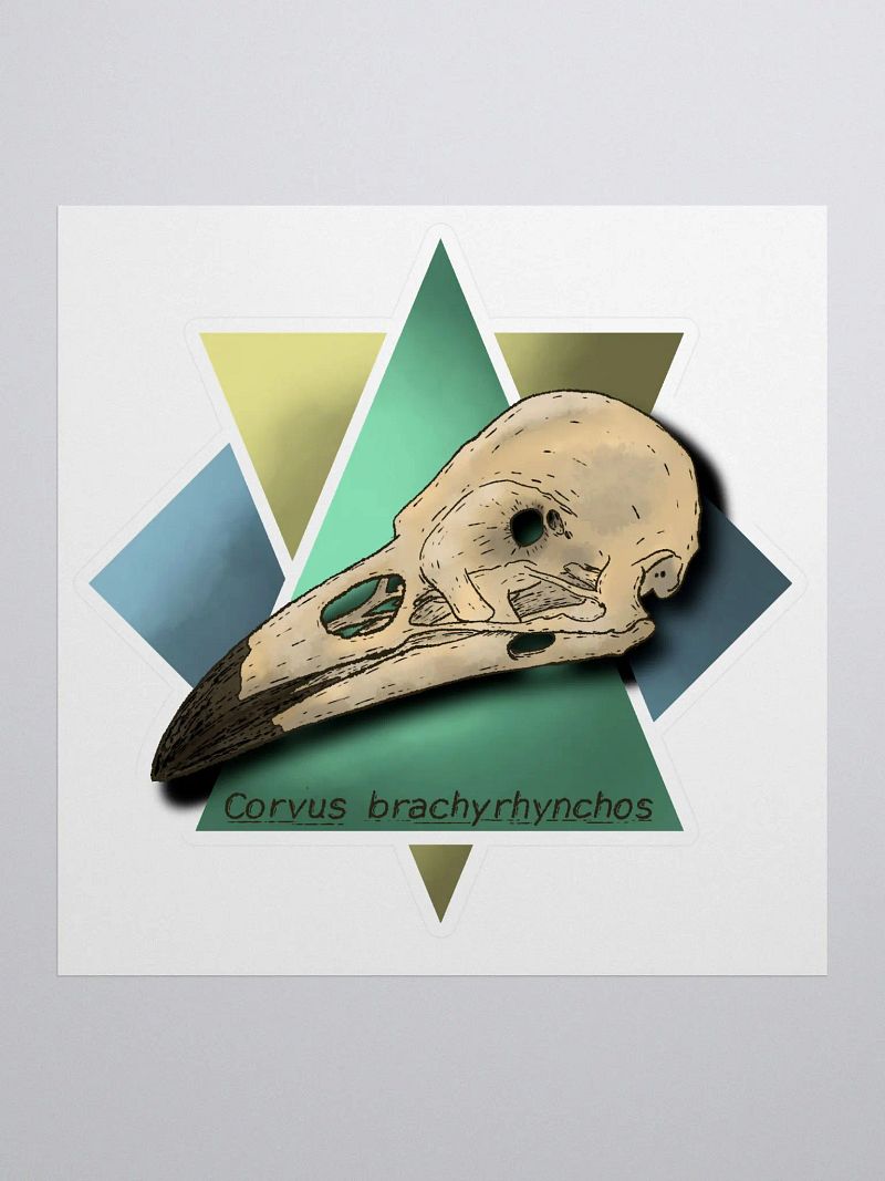 Corvus - Sticker