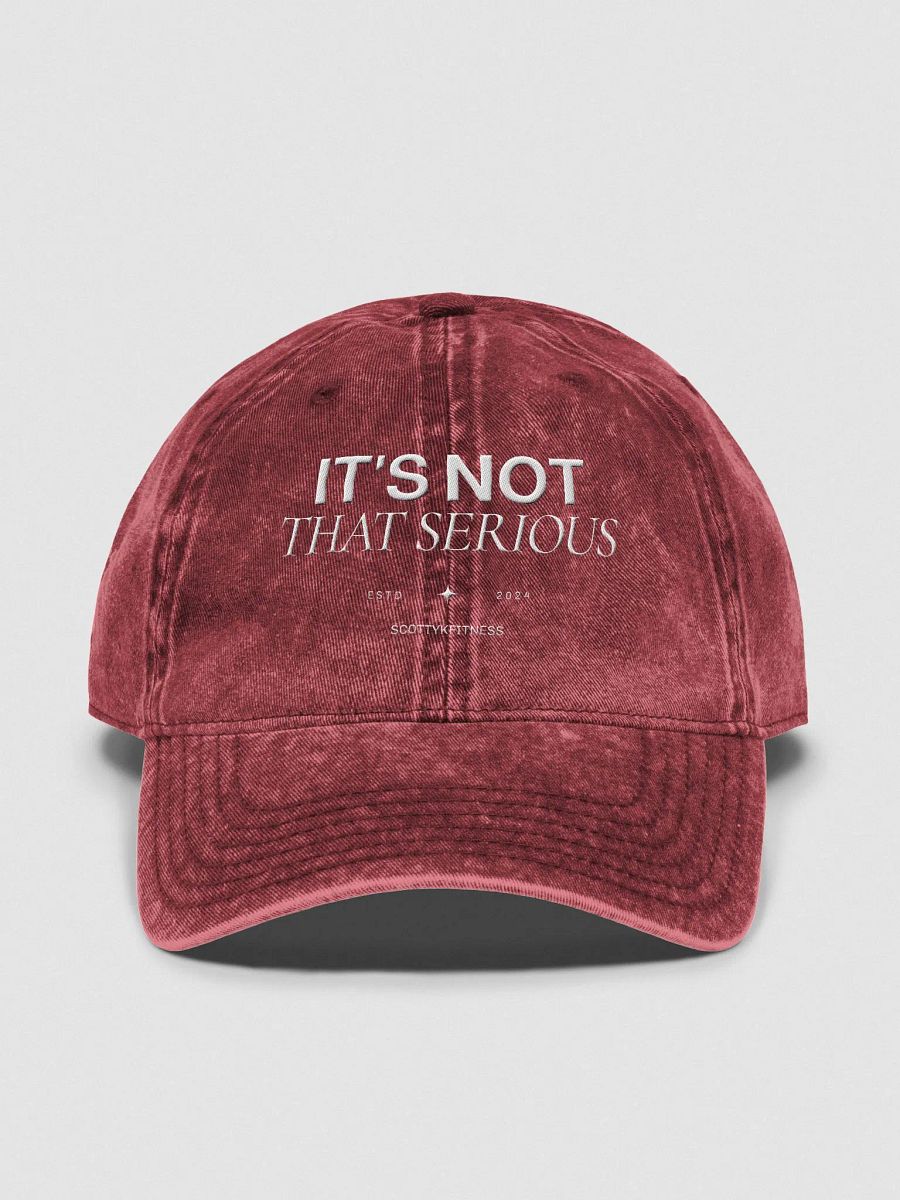 It's Not That Serious Dad Cap product image (2)