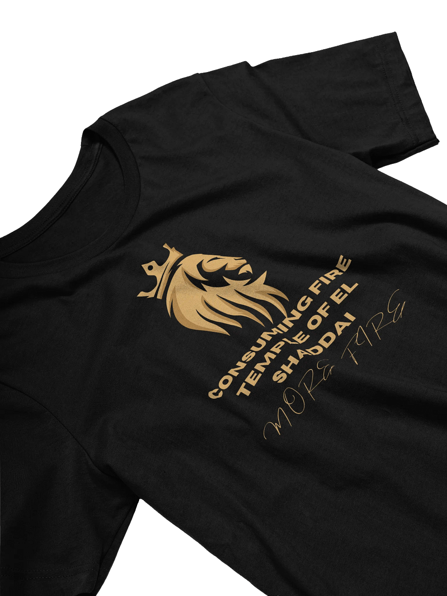 Consuming Fire Lion Logo T Shirt product image (3)