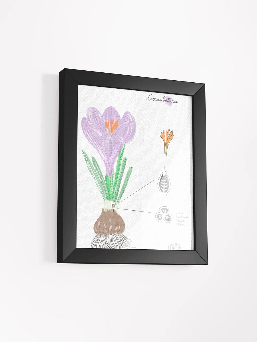 Crochet Vision: Crocus Framed Print product image (2)