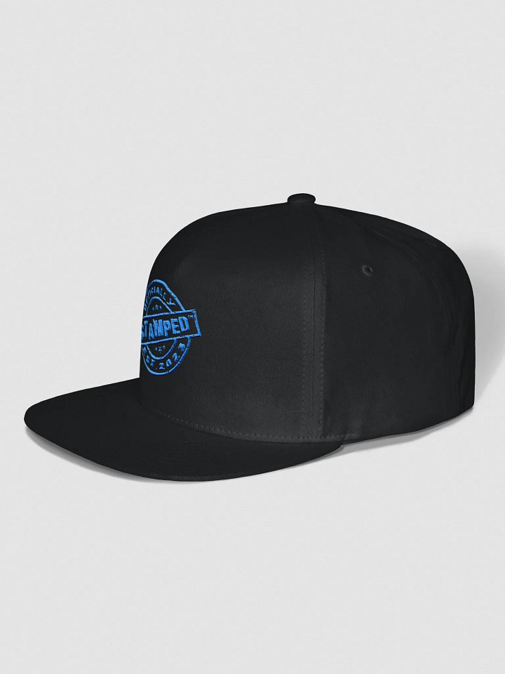 Blue Logo FLAT BRIM HAT product image (2)