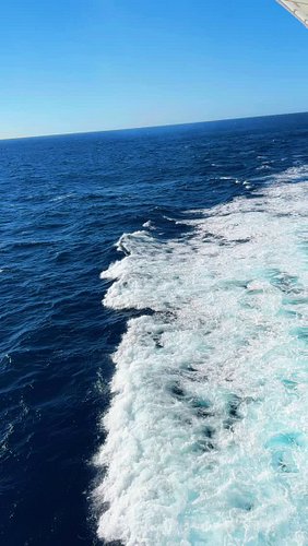 The cruise joy when you’re on your way and out at sea. #cruise #travelreels #instatravel