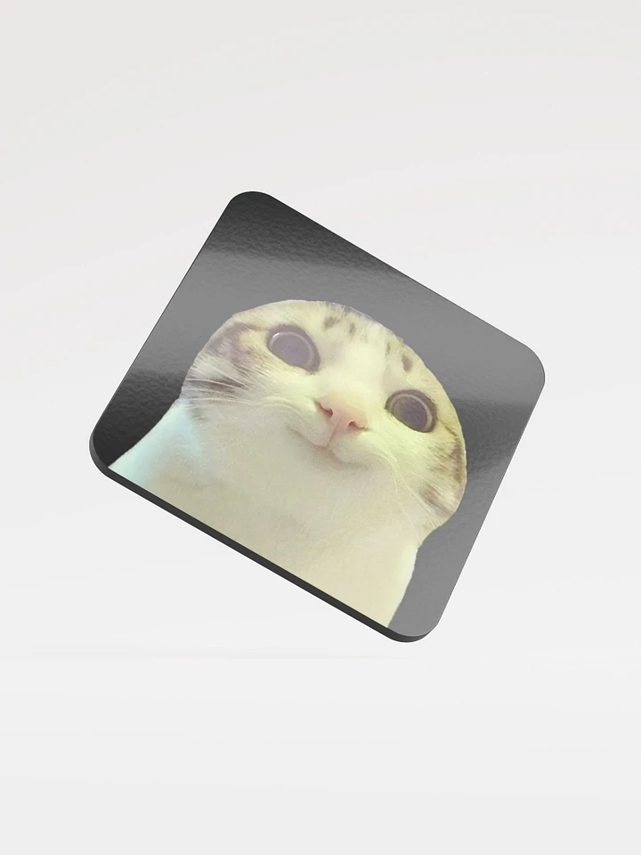 Glossed Cork Coaster: Meme Cats 2 product image (1)