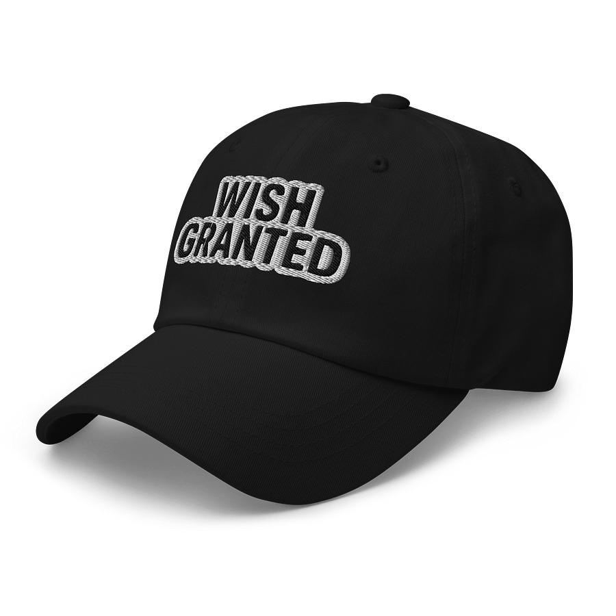 WISH GRANTED Hat product image (5)