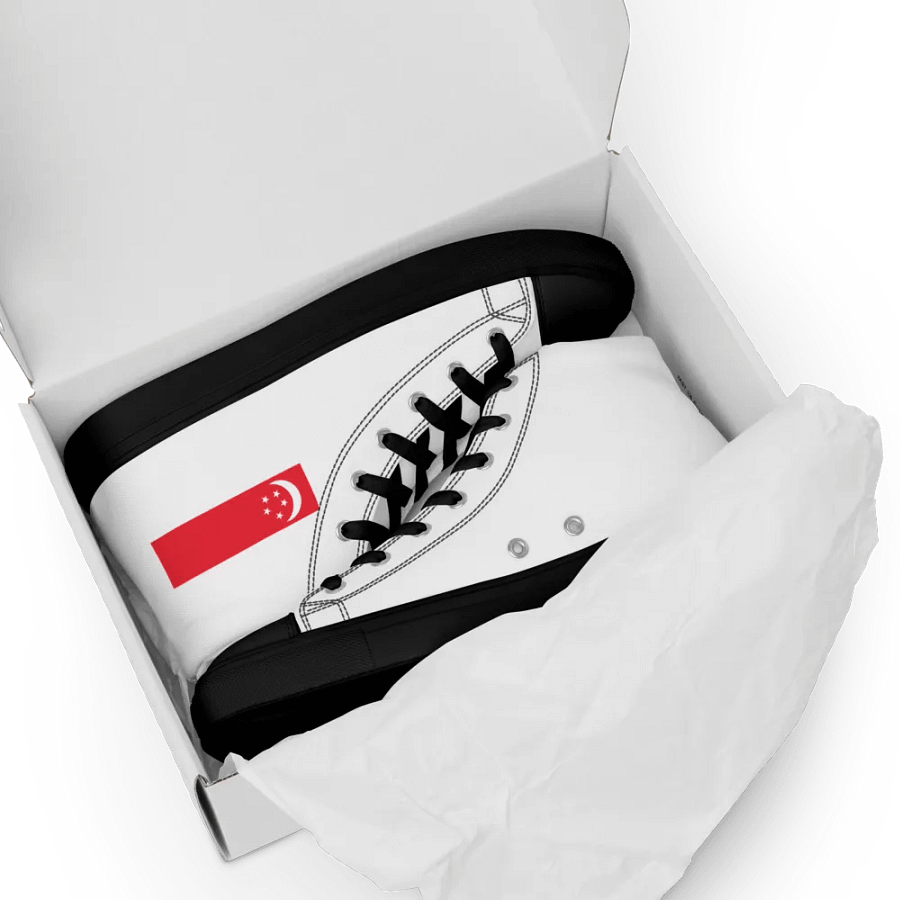 singapore product image (8)