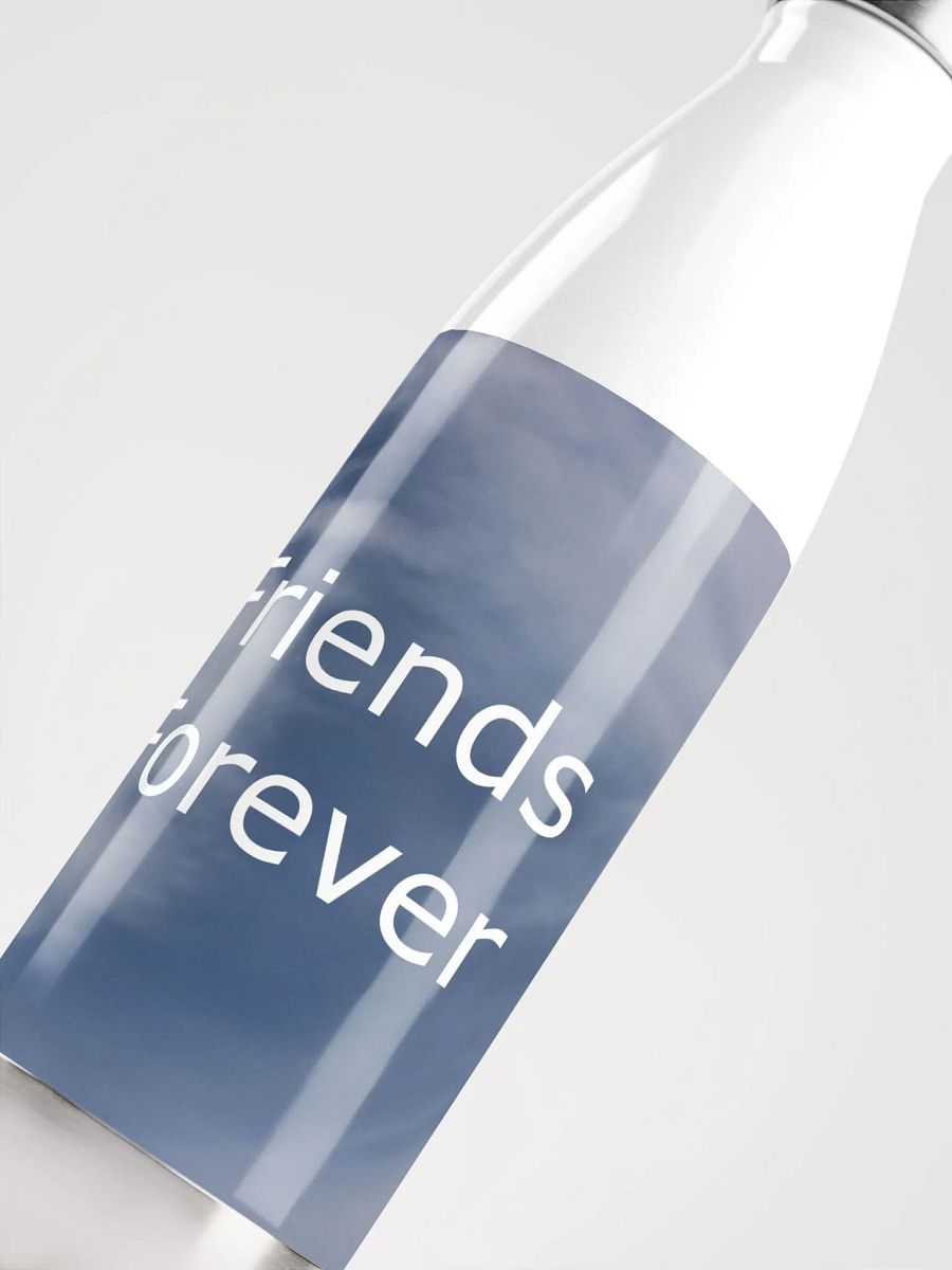 Friends Forever Water Bottle product image (5)