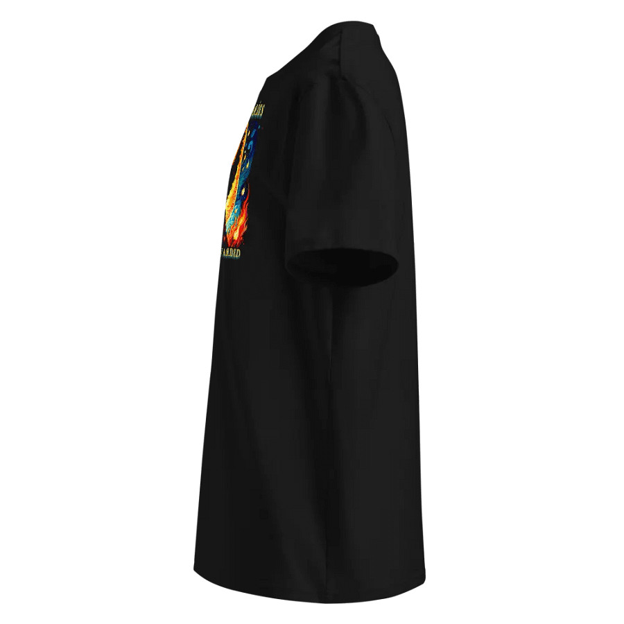 Aries 2025, You Were Warned, Black Tee product image (2)