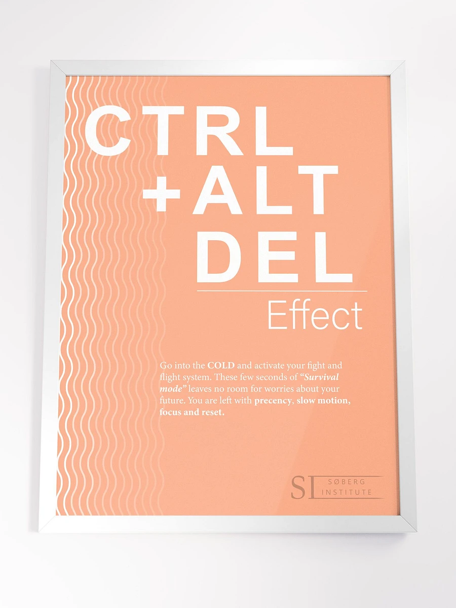 CTRL+ALT+DEL orange product image (7)