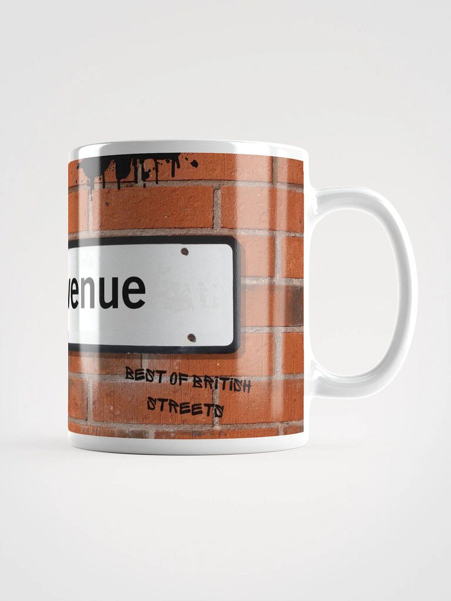 Fanny Avenue Killamarsh Mug - Rude British Street Names product image (3)