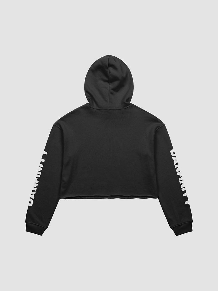 Danfinity Logo Crop Hoodie product image (2)