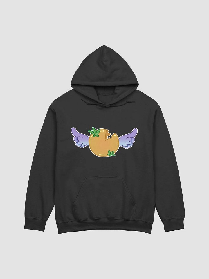 Official Logo Hoodie product image (4)
