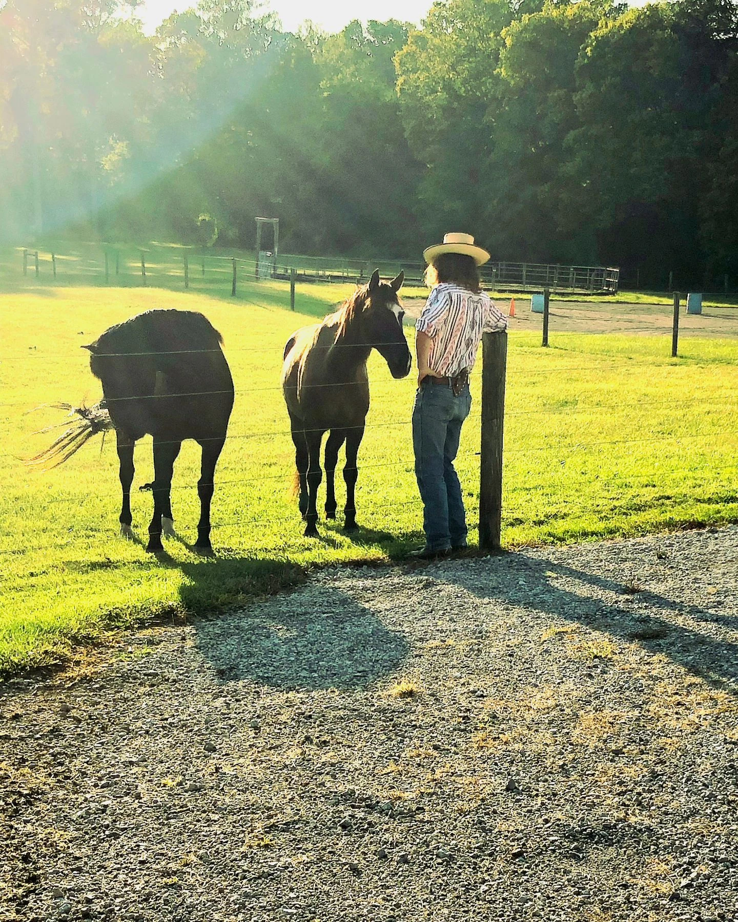 Some mornings just leave me speechless. ☀️
#horses #horse #cowboy #travel #outdoors