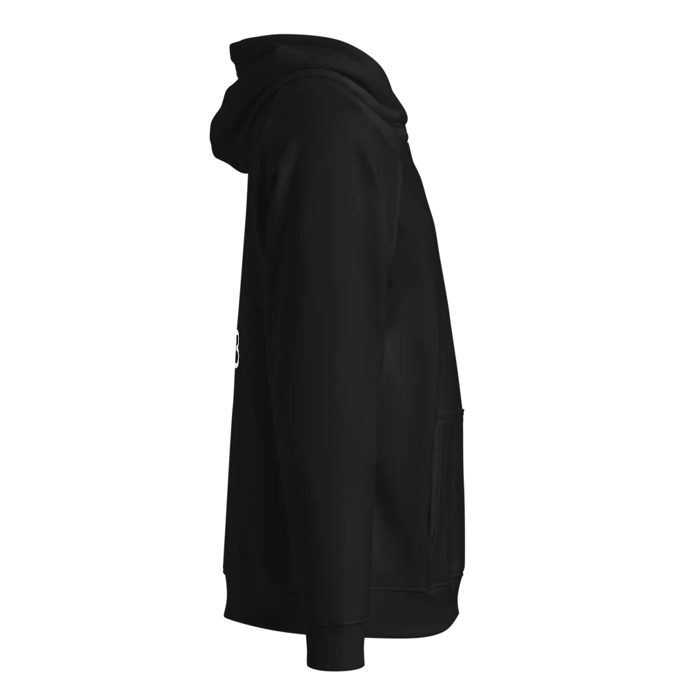 Pixelated Anchor Eco Raglan Hoodie product image (4)