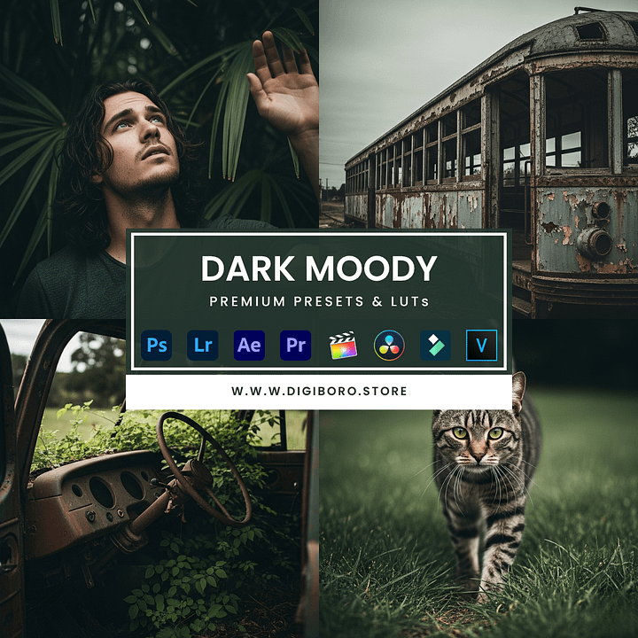 dark moody product image (1)