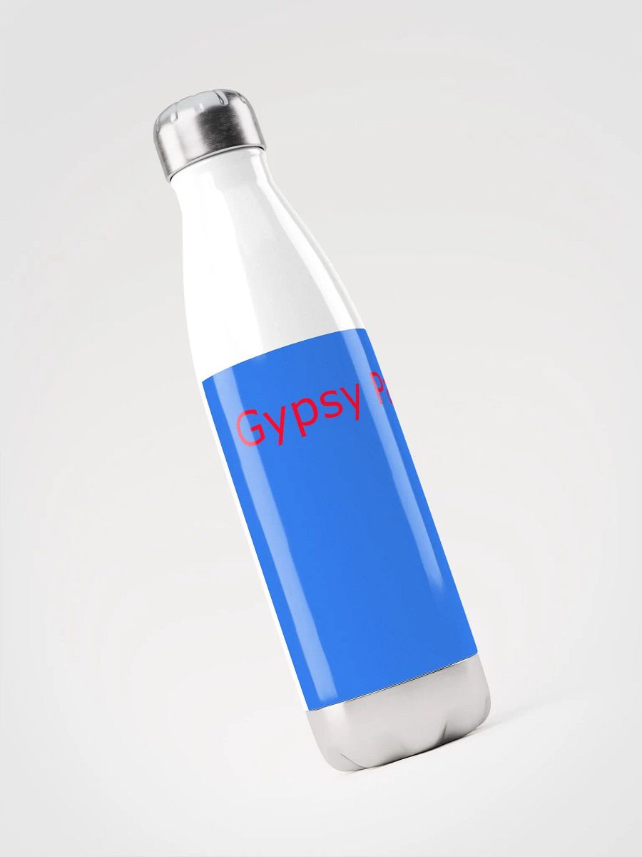 Gypsy Party Water Bottle product image (3)