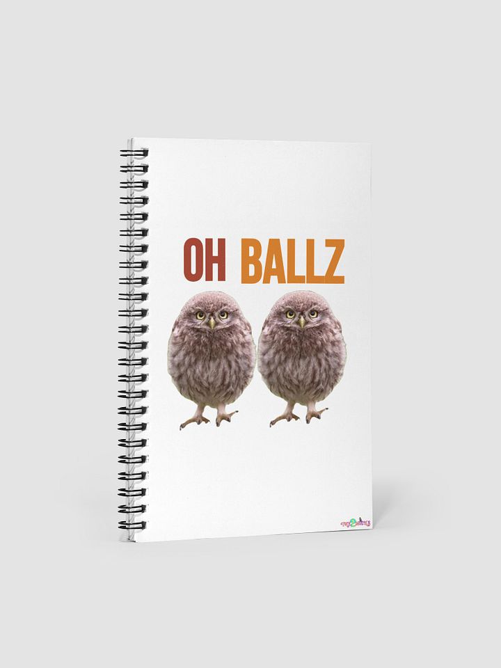 Oh Ballz Notebook product image (1)