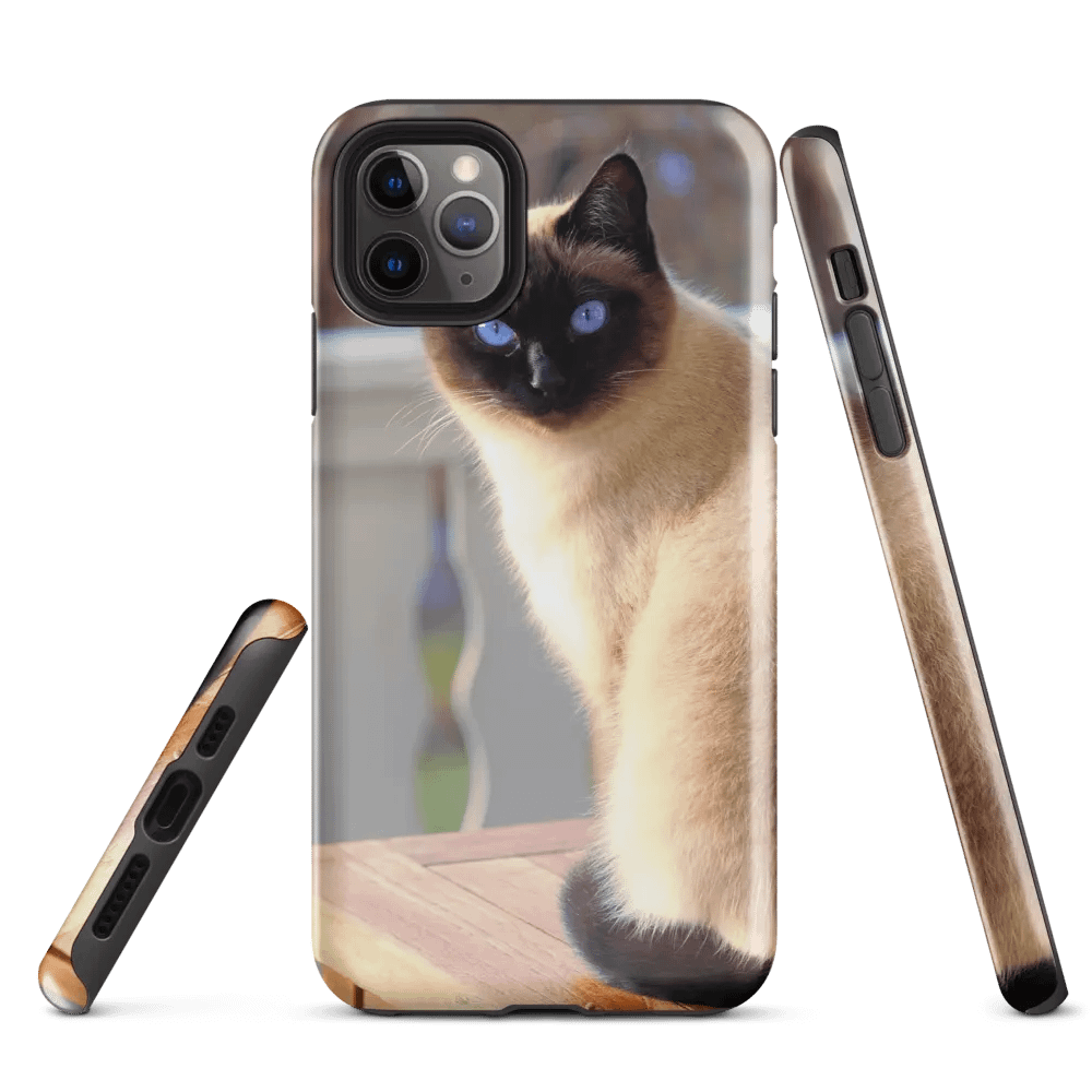 Cat on Front Porch Phone Case for Feline Enthusiasts product image (3)