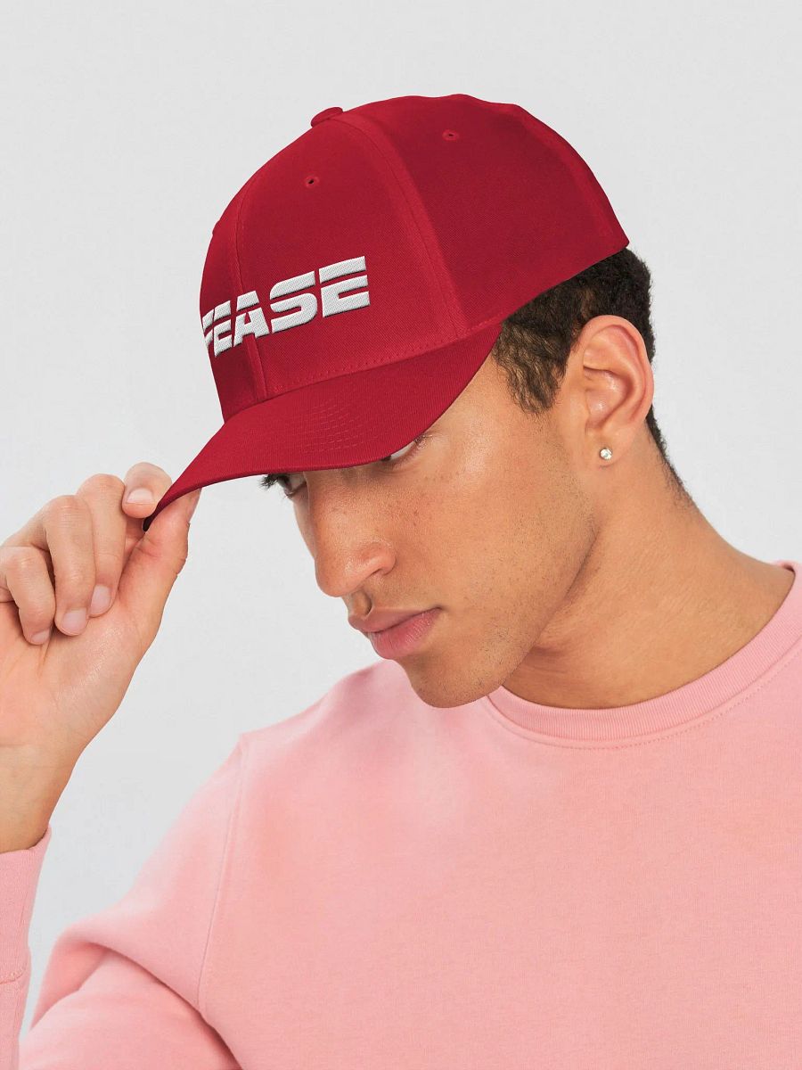 Fease Flexfit product image (28)