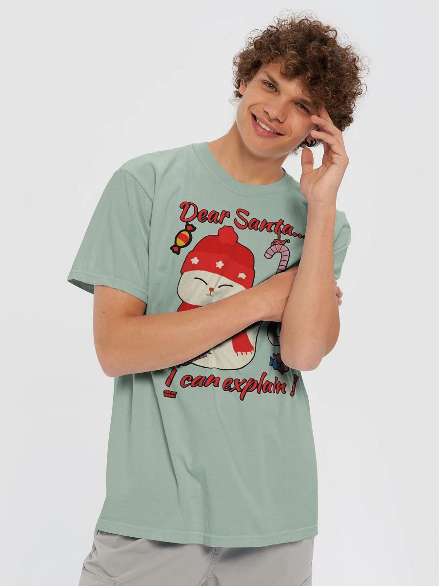 DEAR SANTA, I CAN EXPLAIN! product image (59)
