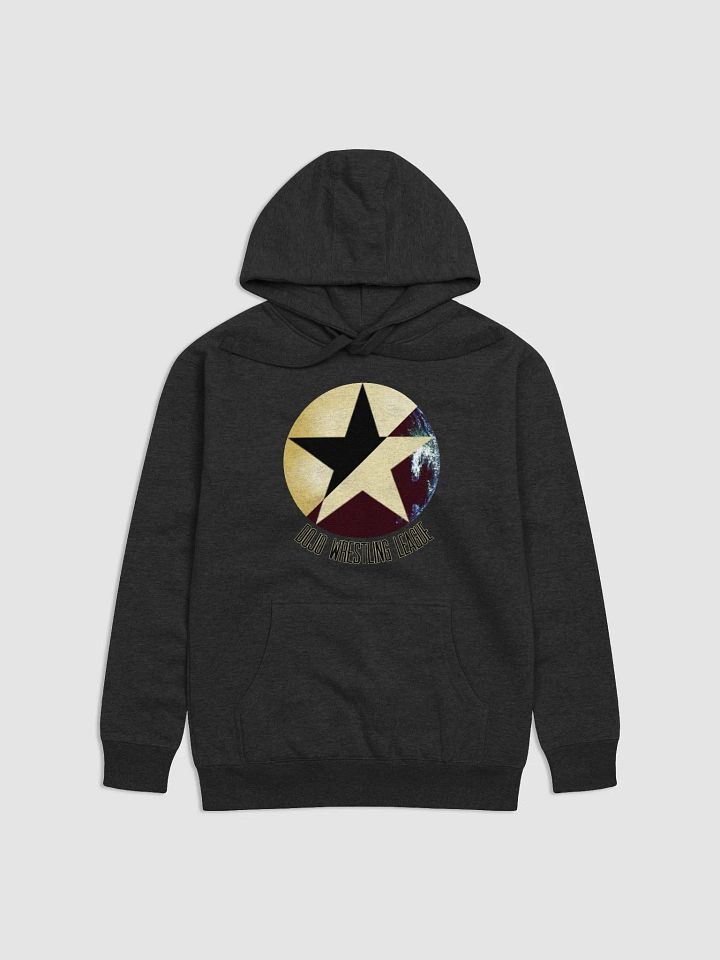 DWL Hoodie product image (1)
