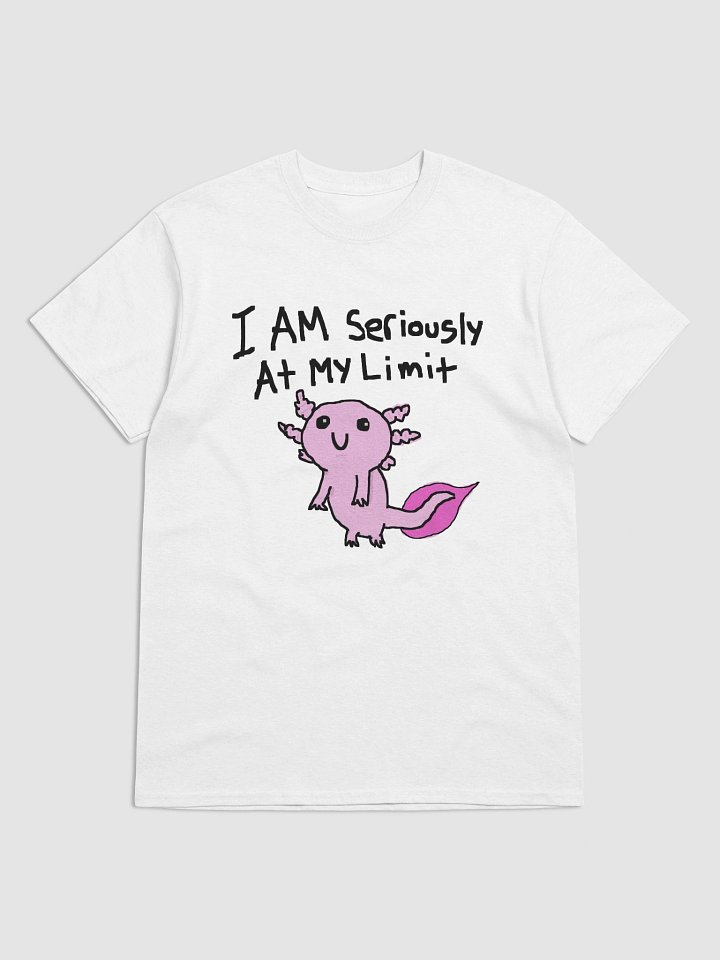 I am seriously at my limit product image (1)