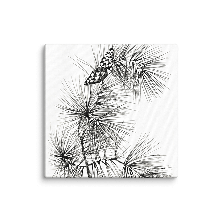 Blank Canvas: Unleash Your Artistic Vision - Pine Branch and Cones product image (1)