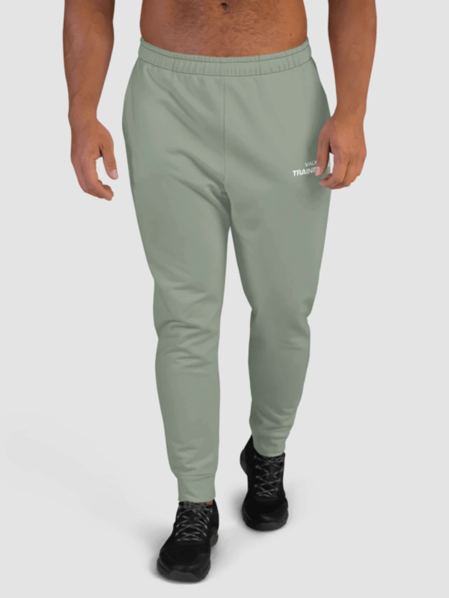 Training Club Joggers - Subdued Sage product image (2)