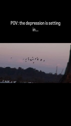 Who else is missing it? #reels #ducks #duckhunting