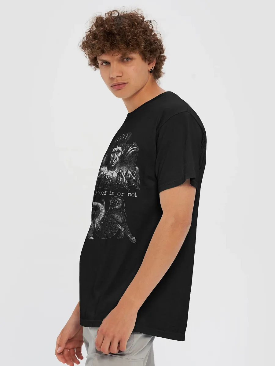 Torment product image (4)