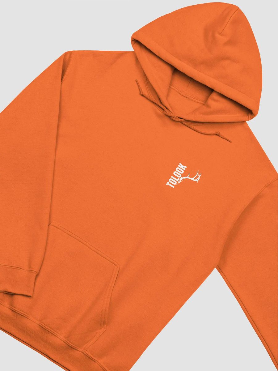 Blazer Orange Hoodie product image (3)