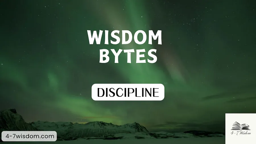 Wisdom Bytes: Discipline product image (1)