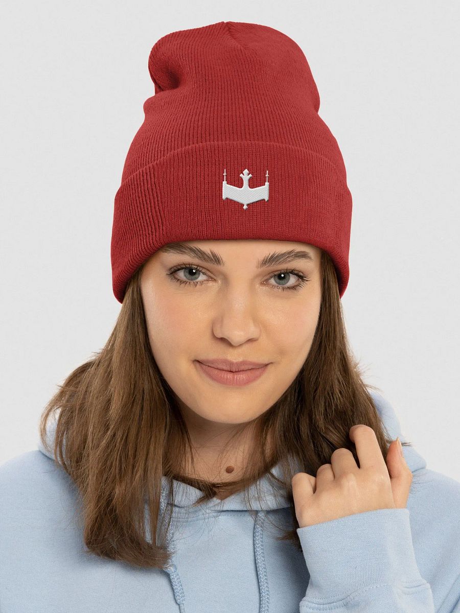 Logo Beanie product image (8)