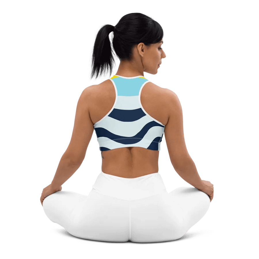 Tizzy Sports Bra product image (7)