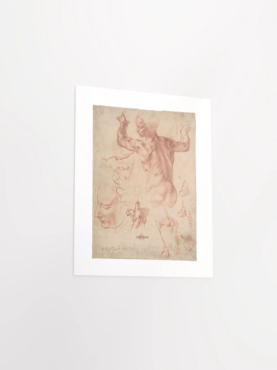 Studies for the Libyan Sibyl by Michelangelo (c. 1510-1511) - Print product image (3)