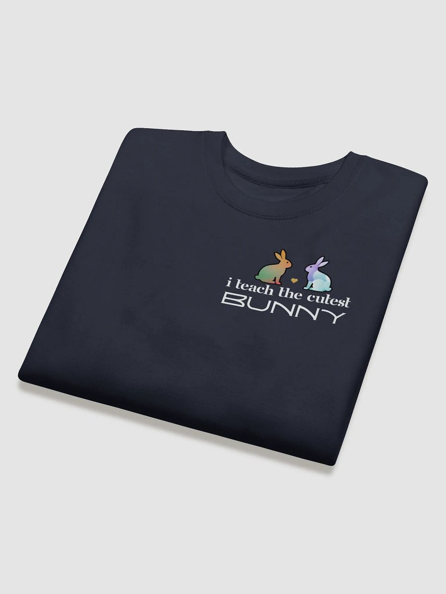 I Teach The Cutest Bunny, Teachers Heritage Sweatshirt - Pocket product image (3)