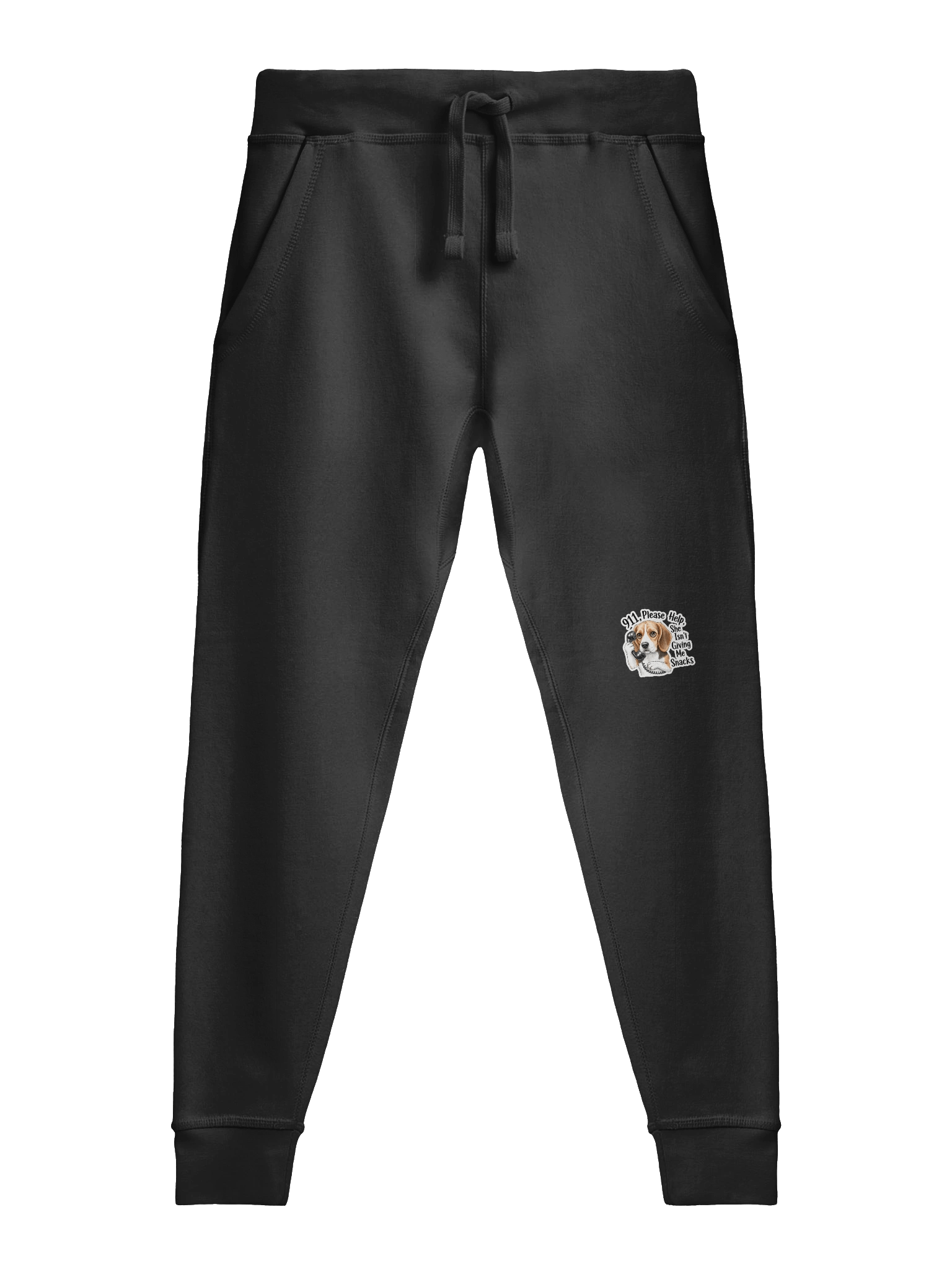 Dex Help Joggers product image (2)