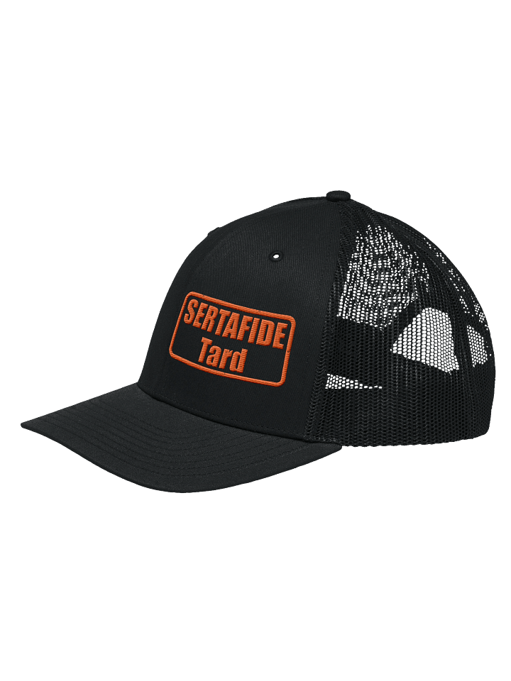 SertafideTardHat product image (2)