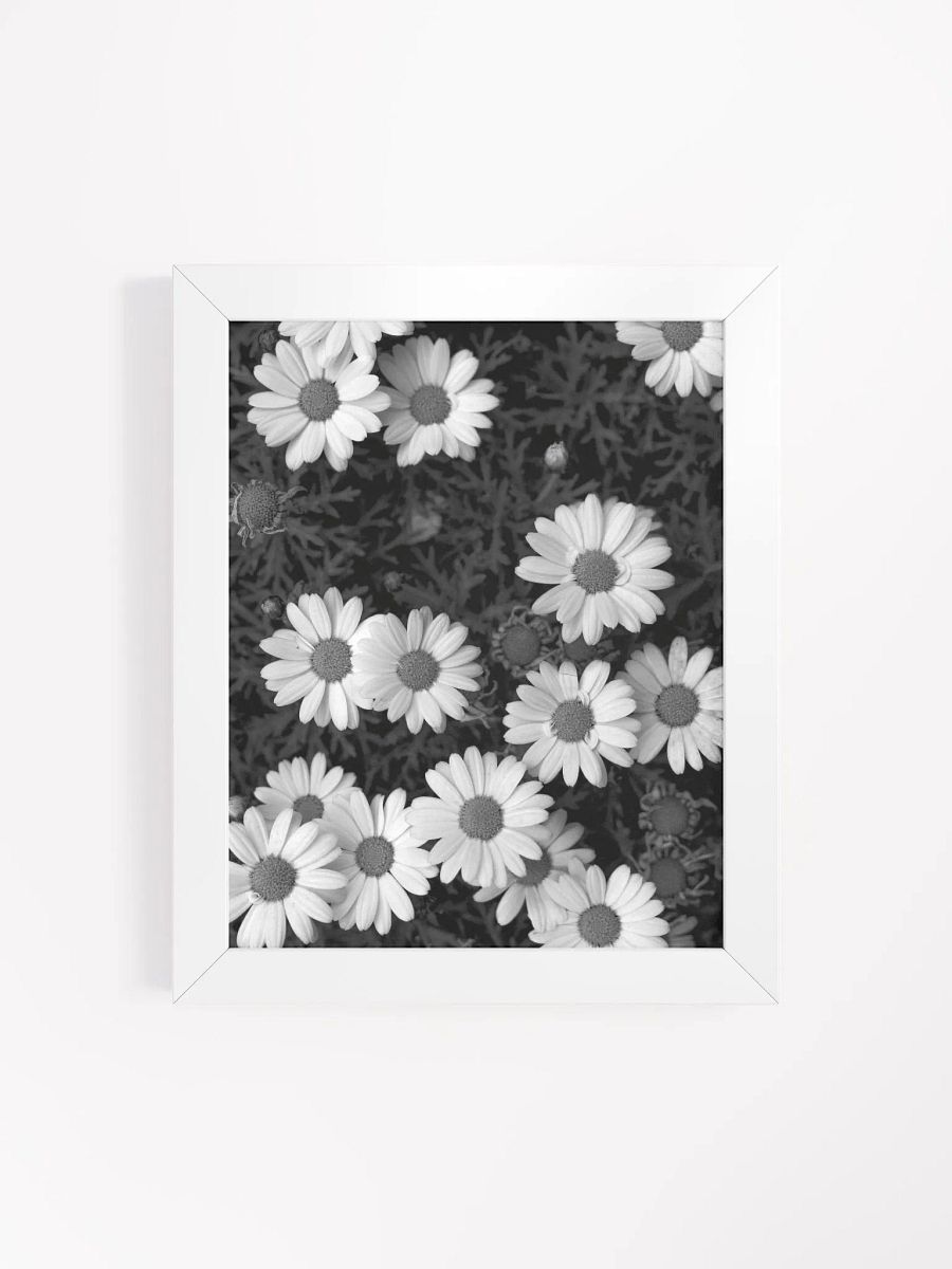 Daisy Flowers - Framed High-Quality Matte Poster product image (4)