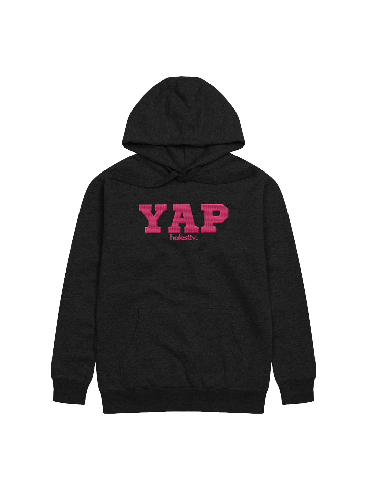 YAP embroidered hoodie product image (2)