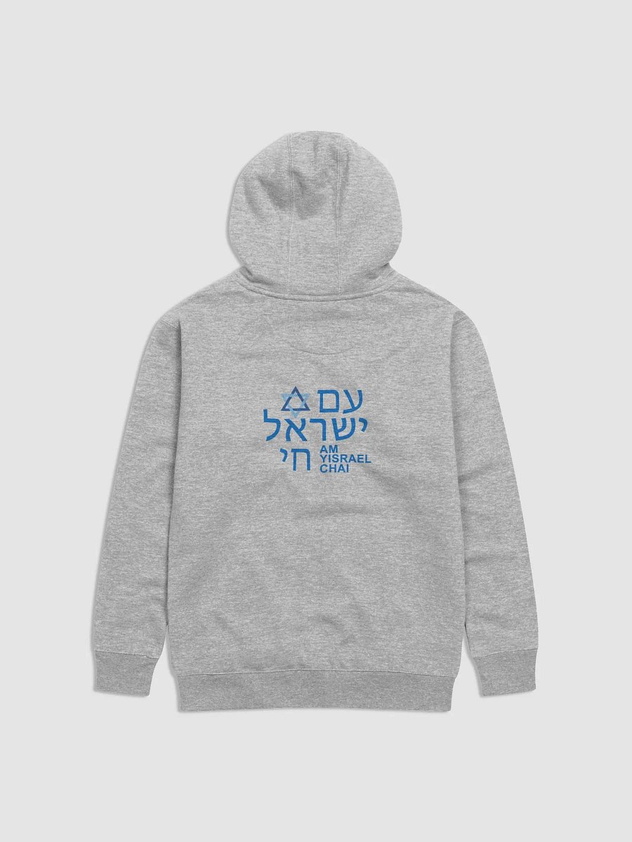 AM YISRAEL CHAI Premium Hoodie product image (24)