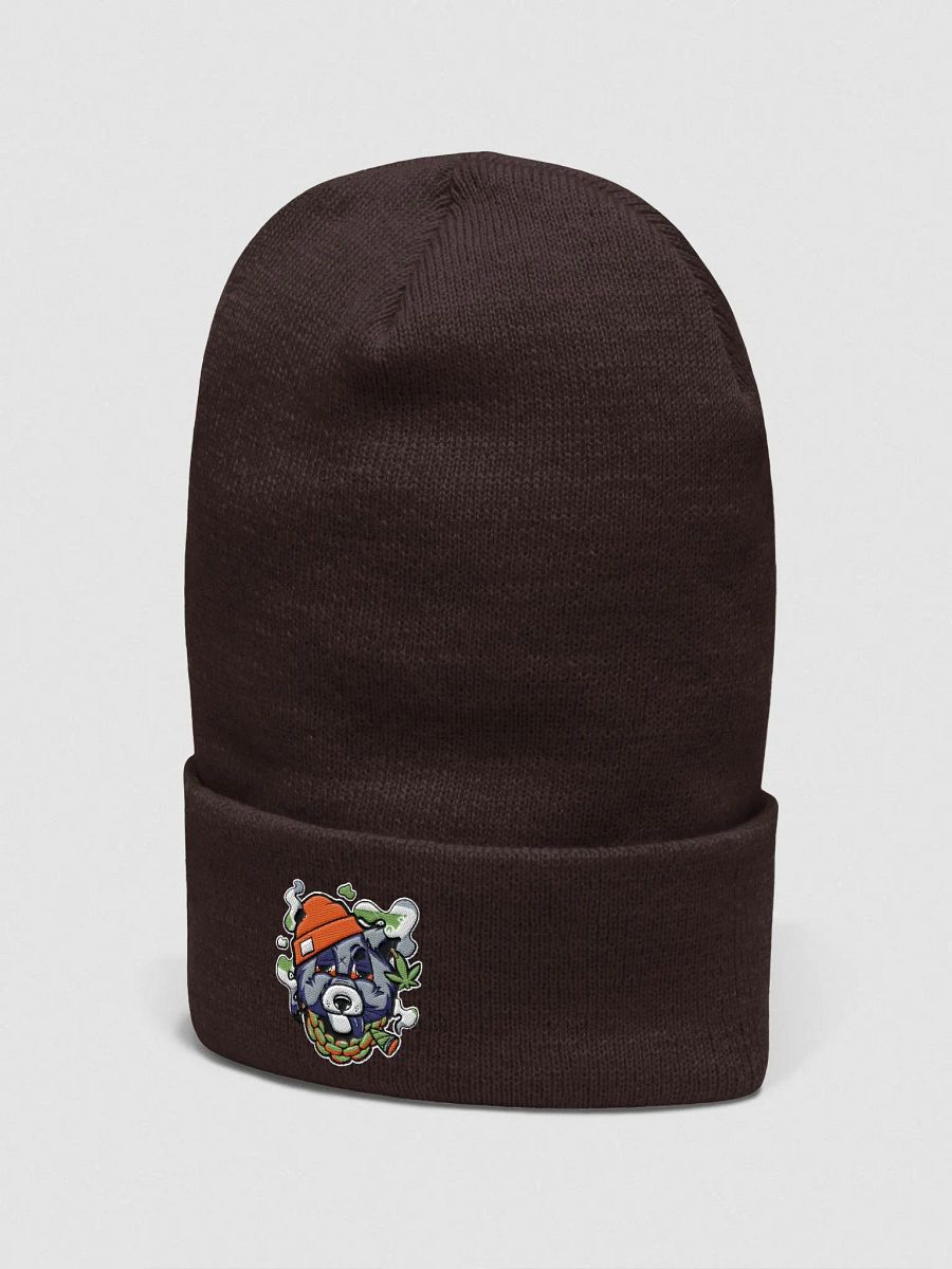 stone racoon Yupoon cuffed beanie product image (2)